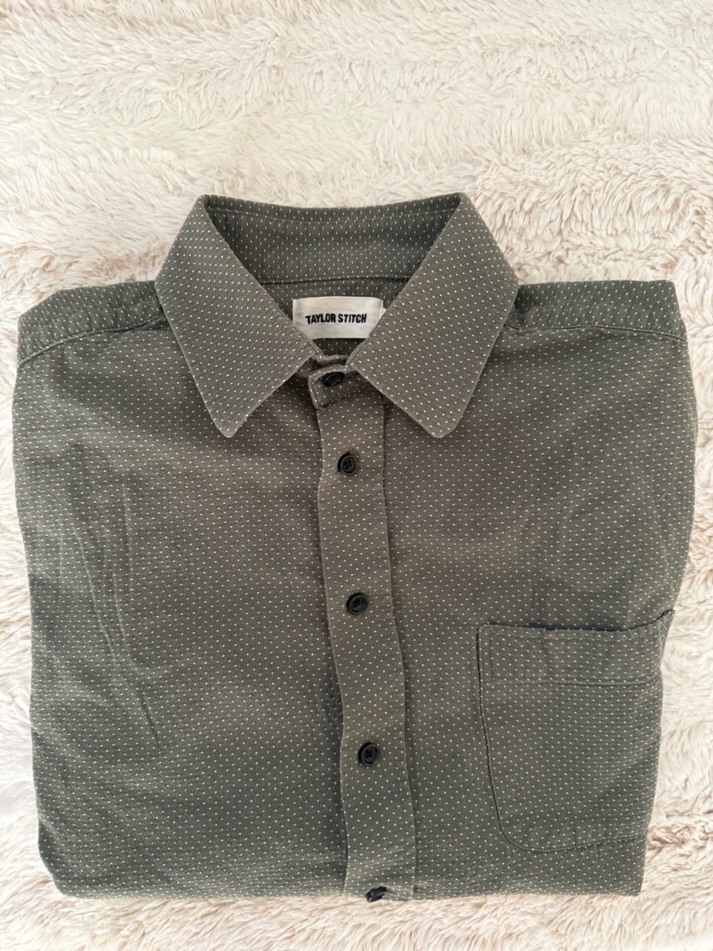 Taylor Stitch Olive California